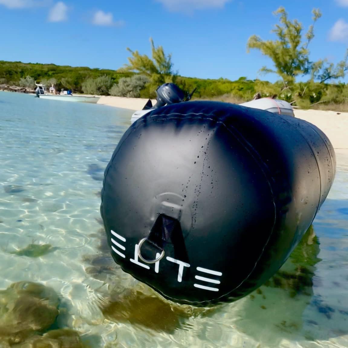 [48" x 12"] THE WATCHMAN